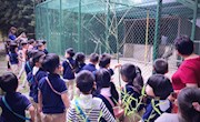 童心感受科技便利，科技打造现代生活——天域幼儿园中班年级组“参观江南嘉捷电梯厂”社会实践活动